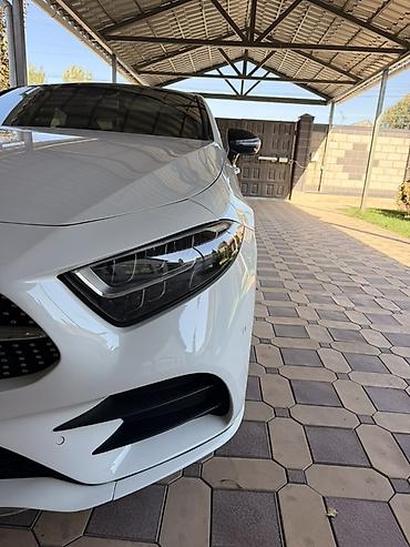 донголок 14 сешка: Mercedes-Benz CLS-Class: 2020 г., 2 л, Автомат, Дизель, Купе — 4