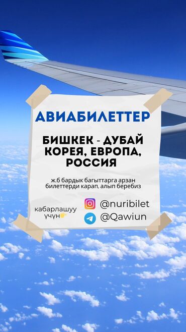 Размещение рекламы: Билет боюнча кайрыла бериниздер! Арзан баада таап бергенге аракет