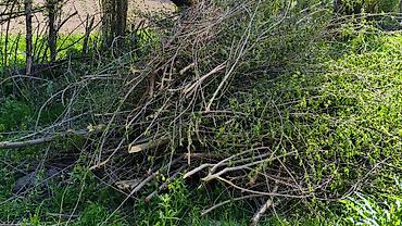 Дрова: Дрова Тополь, Самовывоз — 5