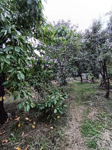 Bağ evlərinin satışı: Alekseevka, 30 kv. m, 15 otaq, Su — 14