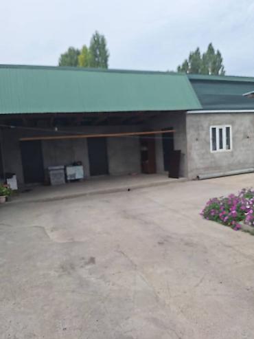 Продажа коттеджей и домов: *Продается уютный дом в прекрасном районе Беловодска, на шлагбауме!* — 3