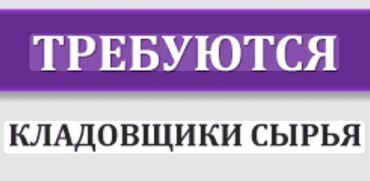 жук алабыз: Кладовщик. Золотой квадрат