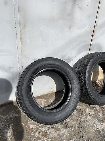 Шины 195 / 65 / R 15, Зима, Б/у, Пара, Легковые, США, GoodYear