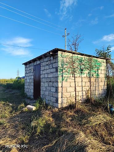 Torpaq sahələrinin satışı: Kənd təsərrüfatı -da lalafo.az — 13 Torpaq sahələrinin satışı: Kənd təsərrüfatı — 13