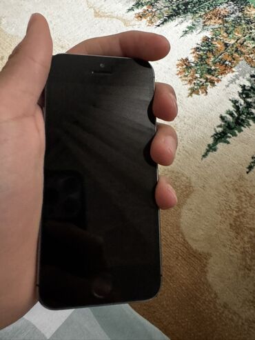 Apple iPhone: IPhone 5s, Б/у, 16 ГБ, Space Gray, 100 % — 9