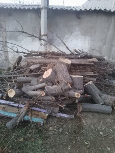 газовые котлы лемакс бишкек: Дрова Самовывоз