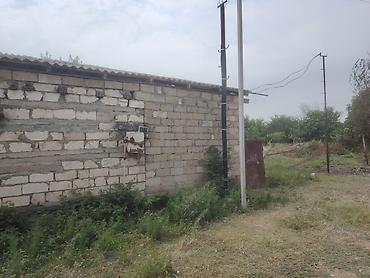 bakıda: Salam Agdamin Cemenli kendinde 1 hektara yaxin heyeti olan heyet — 4