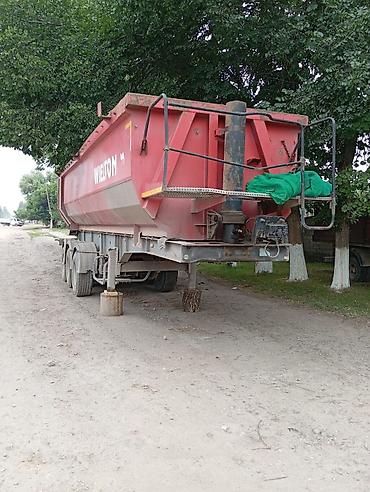 wielton: Прицеп, Wielton, Самосвал, от 12 т, Б/у — 4