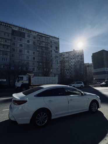 Hyundai: Hyundai Sonata: 2018 г., 2 л, Автомат, Газ, Седан — 8