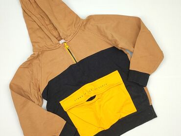 koszulka do kapieli dla dzieci: Sweatshirt, Lincoln & Sharks, 9 years, 128-134 cm, condition - Perfect