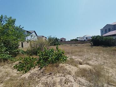 Torpaq: 20 sot, Tikinti, Mülkiyyətçi, Kupça (Çıxarış) — 6
