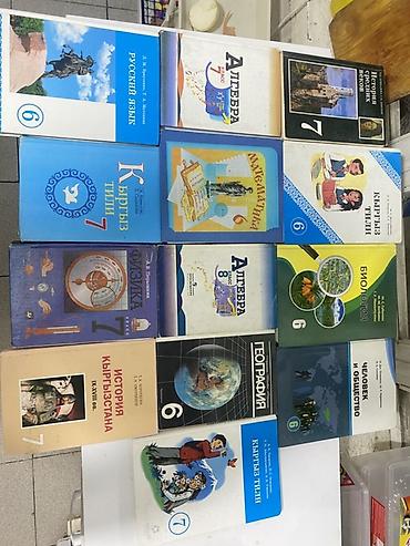 Комплект школьных учебников для 6–7 классов (Кыргызстан). Тематика и