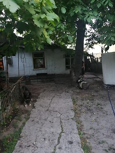 Продажа участков: 3 соток — 5