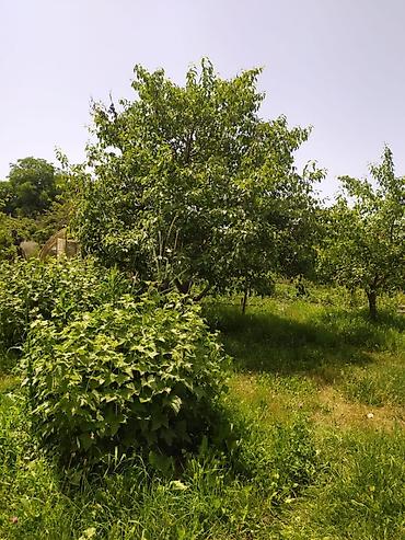 Продажа коттеджей и домов: Продаётся дом на ИссыкКуле, село Ананьево из 4-х комнат. Имеется — 8