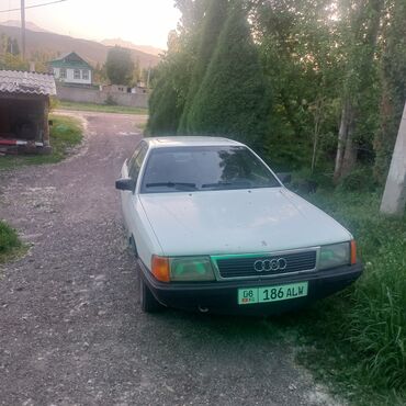 свадебные машины: Audi 100: 1988 г., 2.3 л, Механика, Бензин, Седан