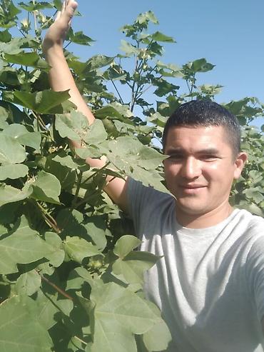 Удобрения и садовая химия: Удобрение Самовывоз — 13