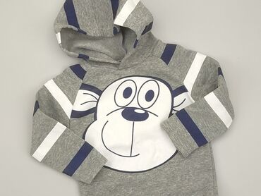 Sweatshirts: Sweatshirt, 9-12 months, condition - Very good