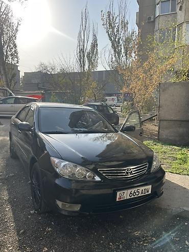 Toyota: Toyota Camry: 2005 г., 2.4 л, Автомат, Бензин, Седан — 1