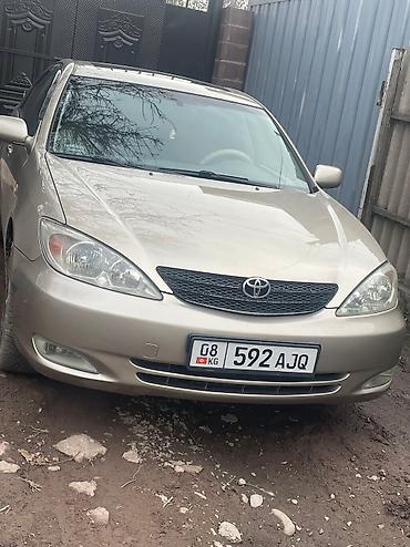 Автобусы и маршрутки: Автобус, Toyota — 13