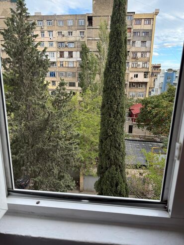 Uzunmüddətli kirayə mənzillər: Ataturk parkinin yaxinligi avestanin arxasinda 9/4 mertebesi 2 otagli — 14