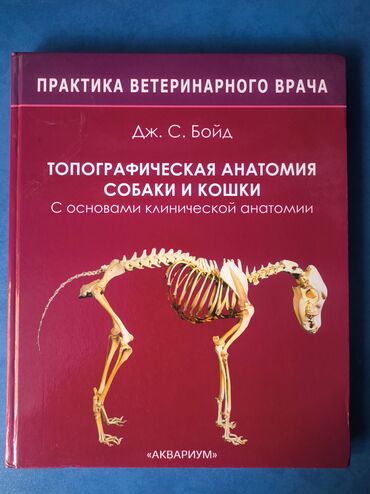 Книги, журналы, CD, DVD: Книга Топографическая анатомия собаки и кошки ! Б/у но состояние