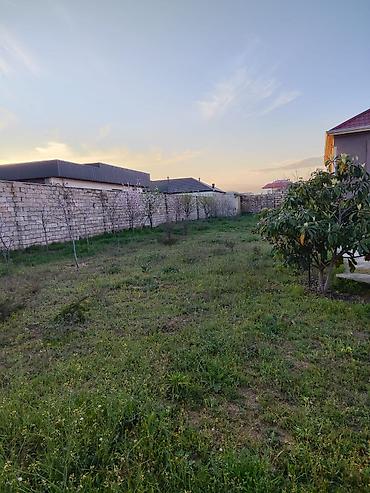 şüvəlan: 12 sot, Tikinti, Mülkiyyətçi, Kupça (Çıxarış) — 1