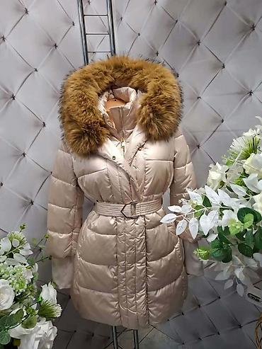 pull and bear bomber: 10. Jakna 7100din — 2