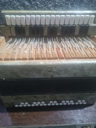 simli musiqi aləti: Akustik Akkordeon
