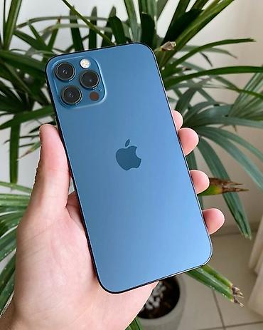 socket 1155: IPhone 12 Pro Max, Б/у, 256 ГБ, Pacific Blue — 1