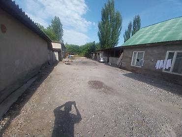 Продажа коттеджей и домов: Продается домовладение с большим двором и хозяйственными постройками — 3