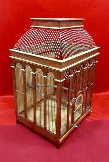 Qəfəslər: Qefes Taxta qefes fistiq ağacinnan yiğilib her detali setkasi el -da lalafo.az — 6 Qəfəslər: Qefes Taxta qefes fistiq ağacinnan yiğilib her detali setkasi el — 6