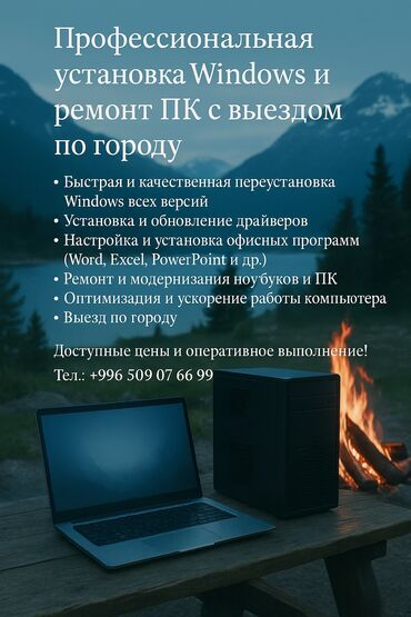 Другие комплектующие: Профессиональная установка Windows и ремонт ПК с выездом по городу •
