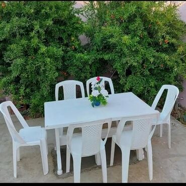 Skanerlər: Stol stul dest kreslo masa dest qabaqstol oturacaq dest kreslo stul — 26