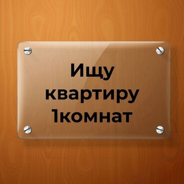 квартира в городе: 1 комната, 30 м², С мебелью