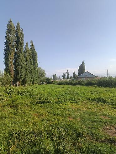 отель бишкек: 9 соток, Для сельского хозяйства — 1
