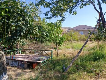 Продажа домов: Дом, 300 м², 4 комнаты, Собственник, Косметический ремонт at lalafo.kg — 13 Продажа домов: Дом, 300 м², 4 комнаты, Собственник, Косметический ремонт — 13