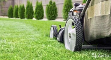 услуги по дому: Садовник: сеем газон,полив, уборка, обслуживание домов раз неделю