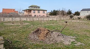 sut satisi: Torpaq sahəsi Şevəlanda, Mir Mövsüm ağa pirinin aşağısında yerləşir. 6 — 3
