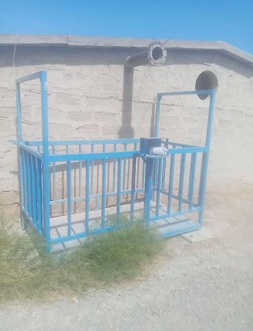 cıxarış nədir: Kənd təsərrüfatı, Kupça (Çıxarış), Texniki pasport — 10