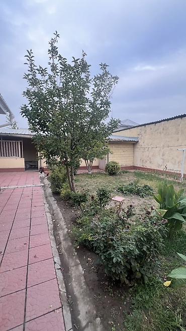 Продажа домов: 3 комнаты, 100 м², 5 соток, Бишкек, Бакай-Ата ж/м Собственник — 6