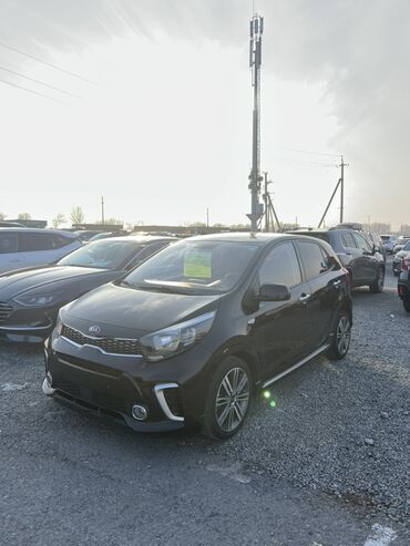 Kia: Kia Picanto: 2017 г., Автомат, Хэтчбэк — 15