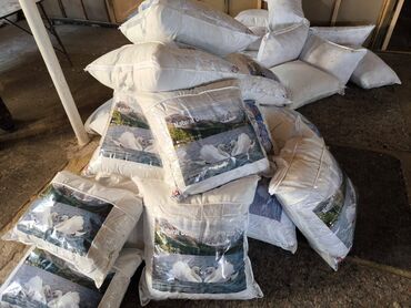 Döşəklər: Böyüklər üçün Yeni Döşək, Ünvandan götürmə — 9