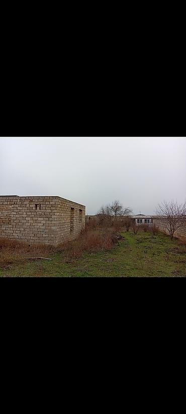 Torpaq: Tikinti — 1