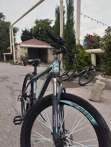Velosipedlər: Şəhər və yüngül off-road üçün dağ velosipedi - Marka/Model: Adidas — 2