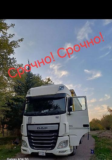 ленивец на даф: Тягач, DAF, 2017 г., Тентованный — 6