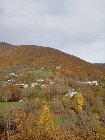 Günlük kirayə evlər: 200 kv. m, 2 otaqlı — 10