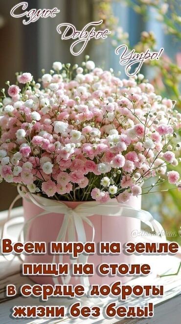Другие услуги: Требуется горничная в Чолпон-Ата,в мини пансионат,на лето, работа с 1