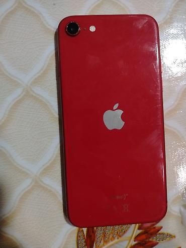 ıphone se 2020: IPhone SE 2020, 64 GB, Qırmızı, Barmaq izi — 2