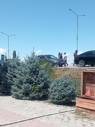 jon deer: Toyota Camry: 2005 г., 2.4 л, Механика, Бензин, Седан — 6