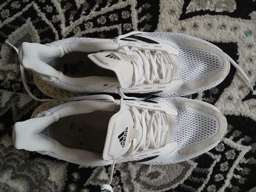 cipele adidas: Trainers, Adidas, size - 46